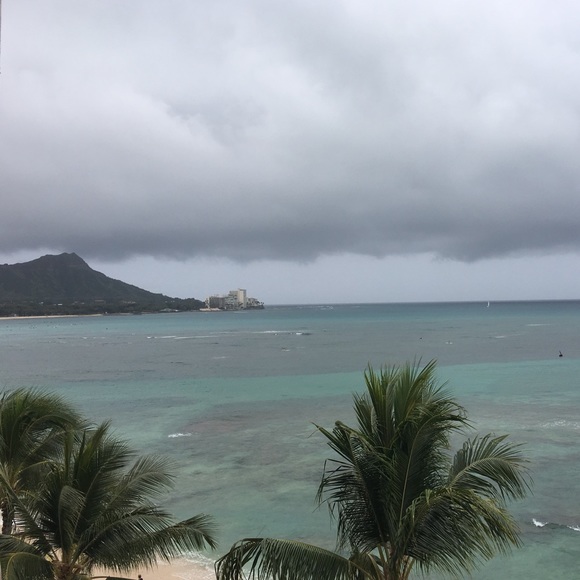 Meet your Posher, Sheila - Picture 5 of 6